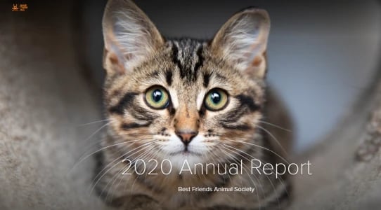 6-Best-Nonprofit-Annual-Reports-From-2020-4