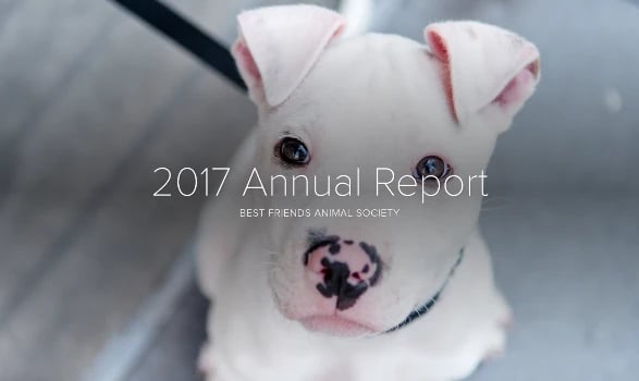 7-Best-Nonprofit-Annual-Reports-2017-4