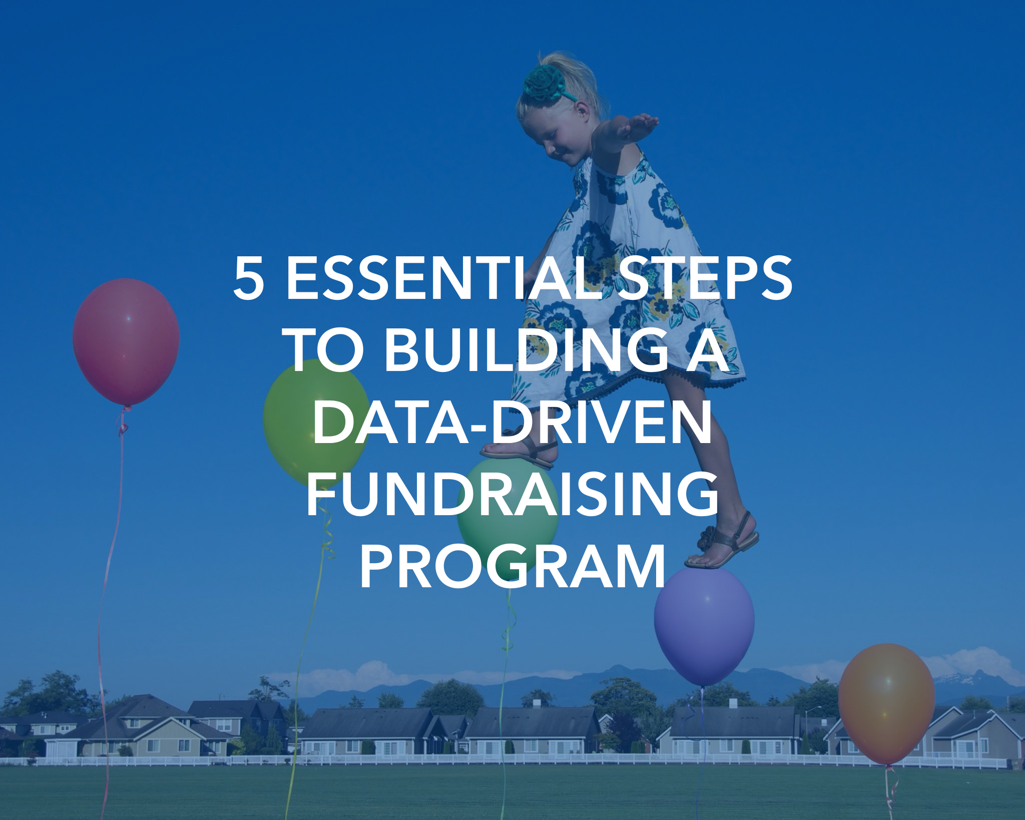 5 Essential Steps to Building a Data-Driven Fundraising Program